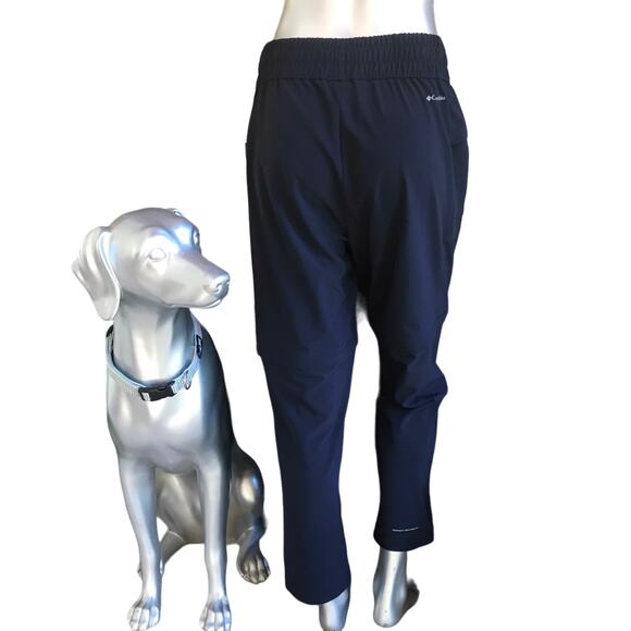 Columbia Convertible Pull on Blue Hiking Pants with Pockets Women’s Size L - Picture 1 of 11
